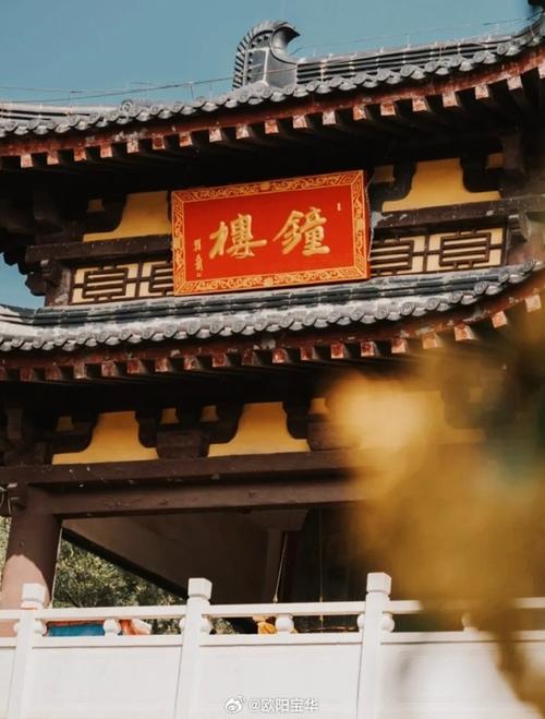 从一辆观光车的停运，看见免费景区的服务悖论